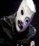 corey26